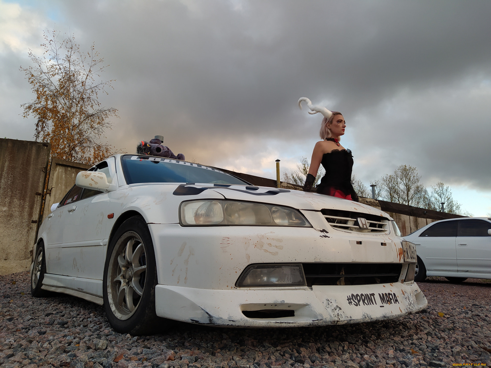 , -  , honda, accord